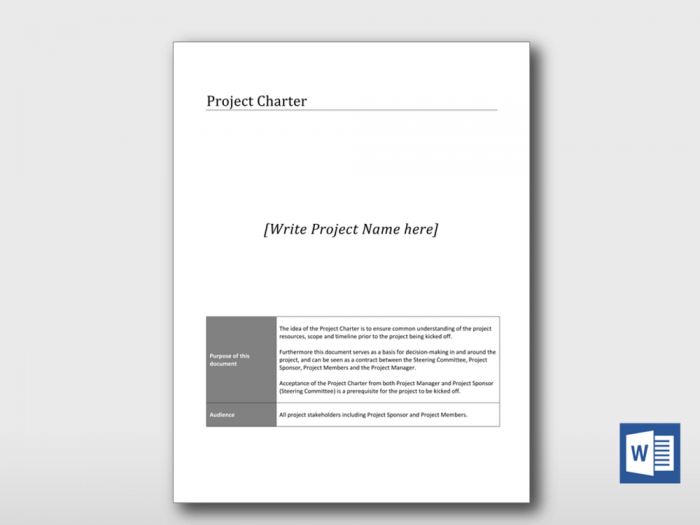 Simple Project Charter 1