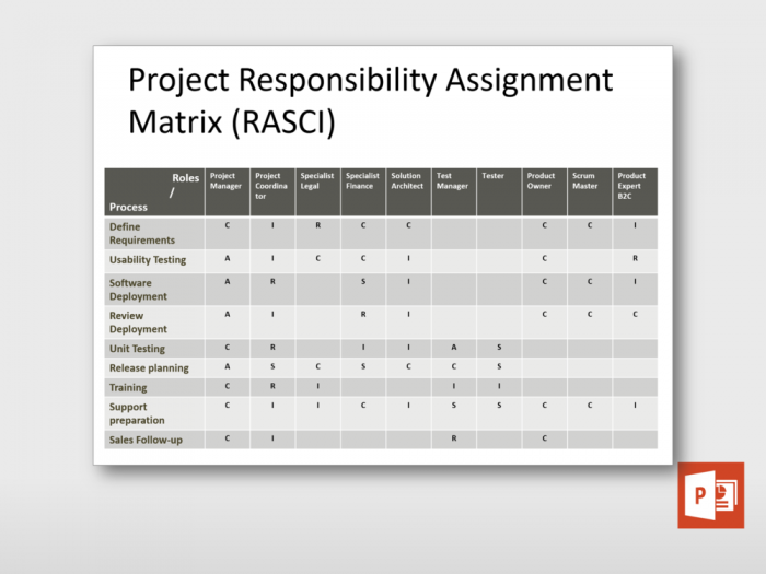 Project RASCI Matrix 2