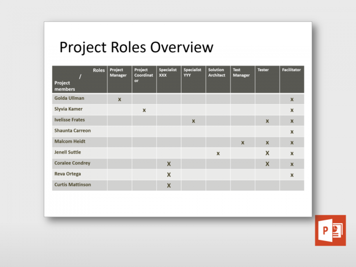 Project Roles Overview 1