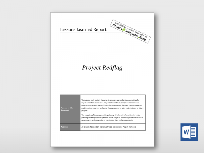 Lessons Learned Report 2
