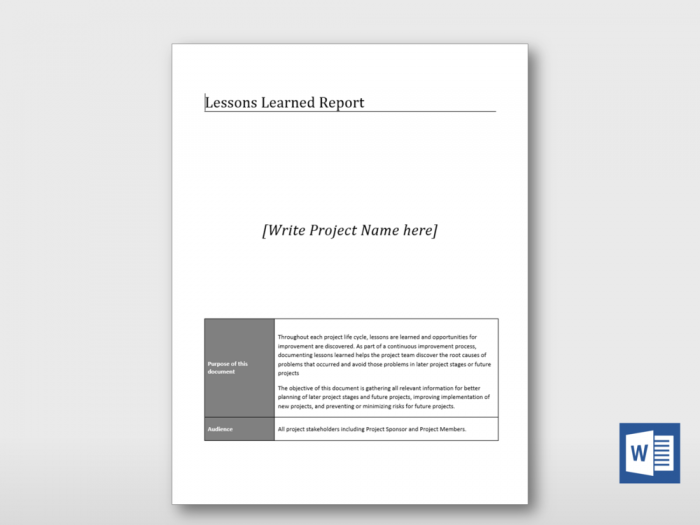 Lessons Learned Report 6