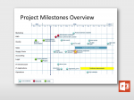 Project Milestones Overview