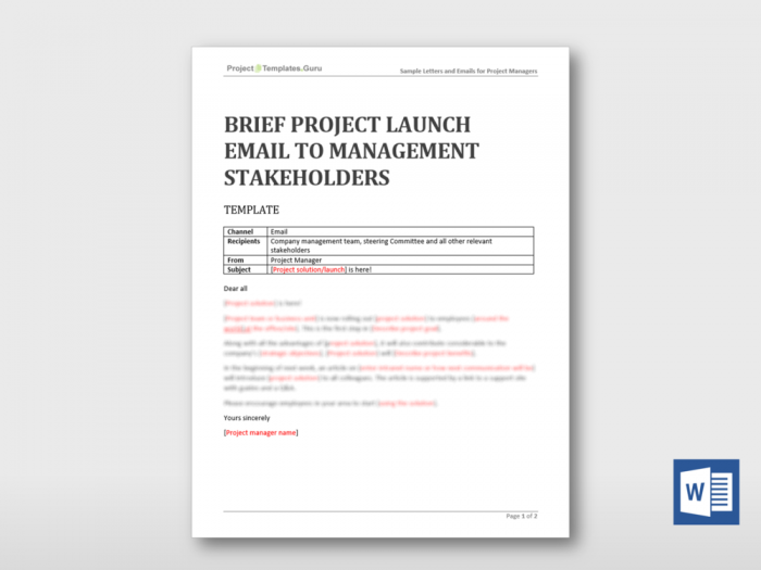 Brief Project Launch Email To Management Stakeholders 3