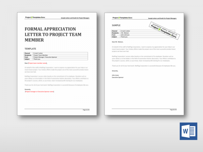 Formal Appreciation Letter To Project Team Member 1