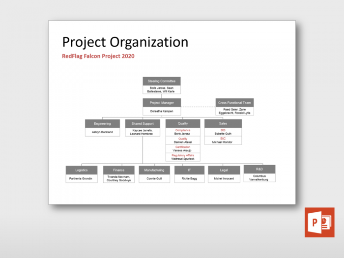 Project Organization Chart 1