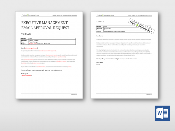 Executive Management Email Approval Request 1