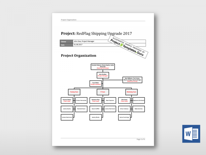 Simple Project Organization Diagram 2