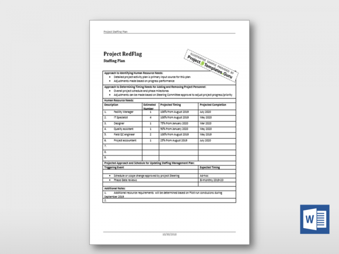 Project Staffing Plan 2