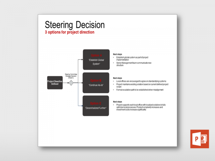 Project Steering Decision Visualization 1